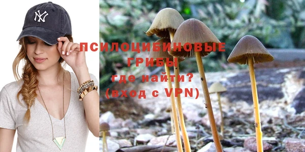 мяу мяу мука Белокуриха