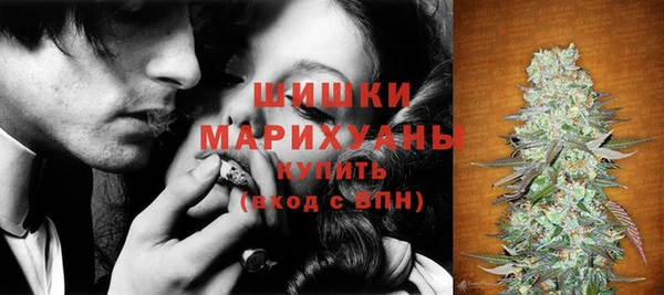 мяу мяу мука Белокуриха