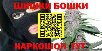 крисы Кунгур
