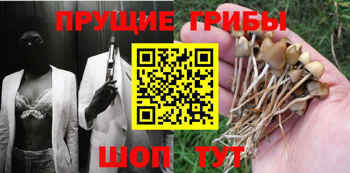 Сердобск  Псилоцибиновые грибы MAGIC MUSHROOMS  Псилоцибиновые грибы Psilocybine cubensis  Вход с VPN 