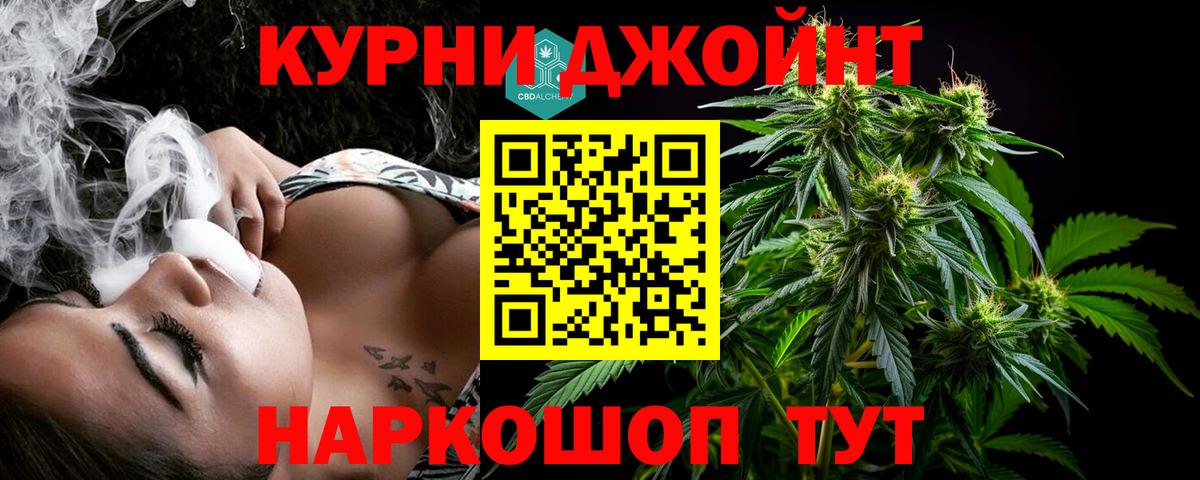 Конопля конопля  Вход с VPN  Канабис план  Сердобск  Конопля конопля 
